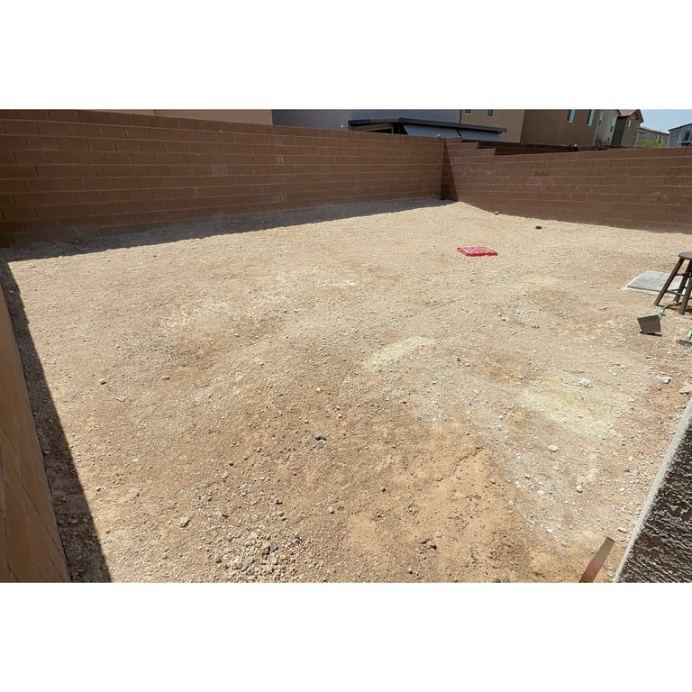 Anthony R.'s yard after scooping