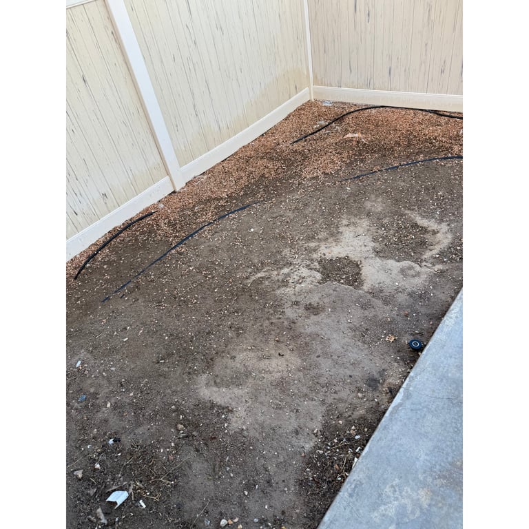 Ashley's yard after scooping