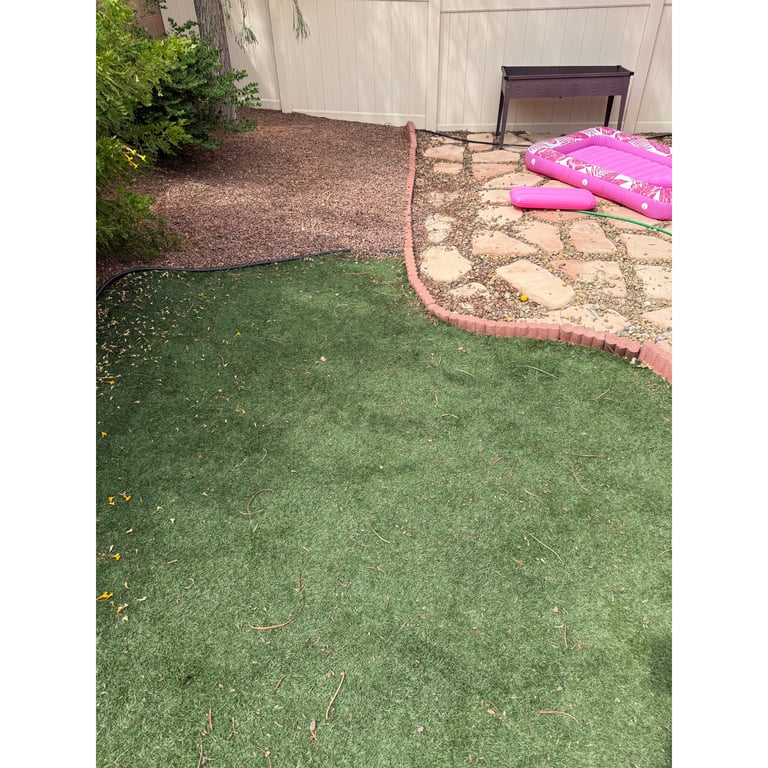 Ashley's yard after scooping