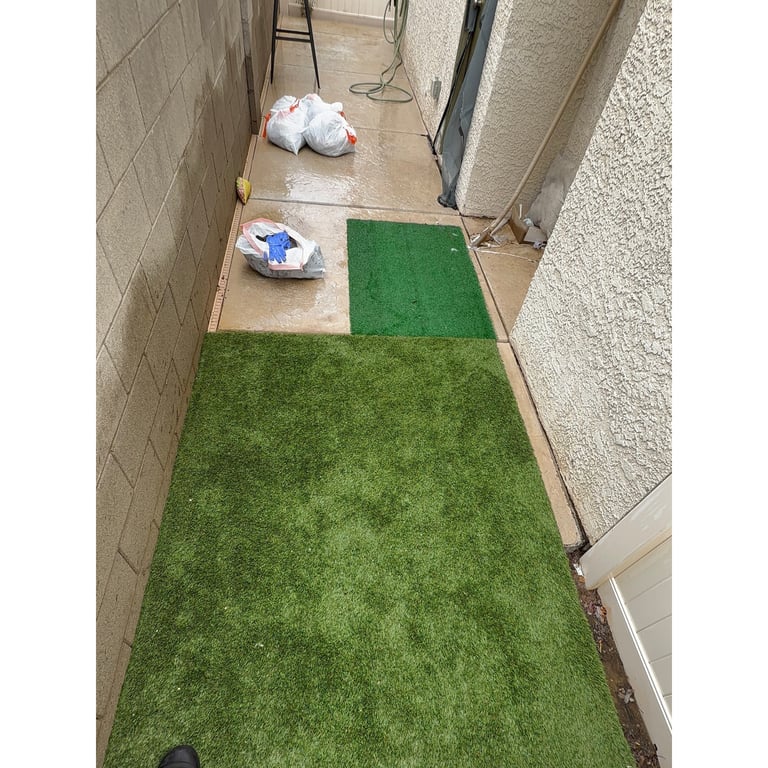 Brianna H.'s yard after scooping