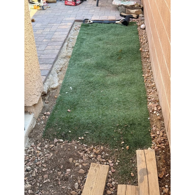Connor's yard after scooping