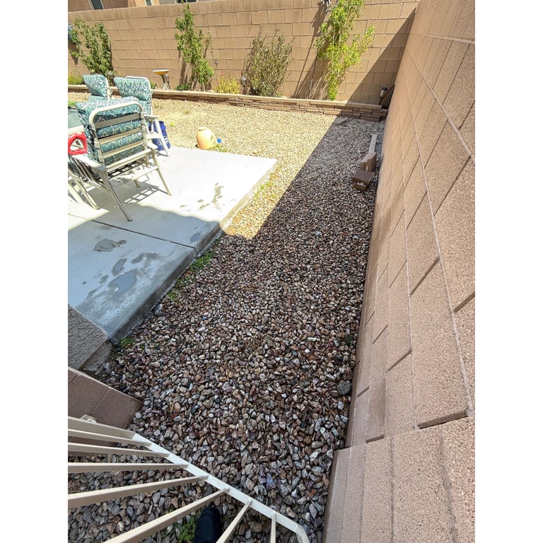 Danielle's yard after scooping