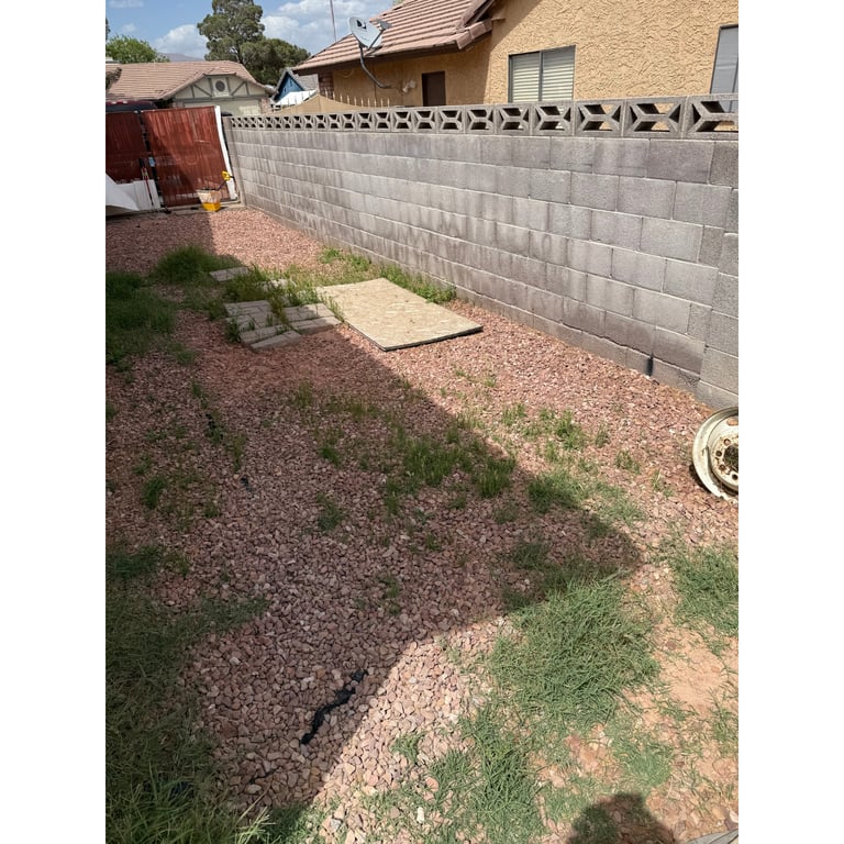 Heather's yard after scooping