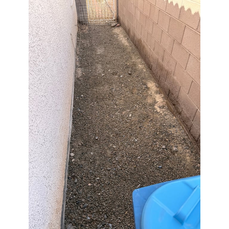 Jasmine's yard after scooping