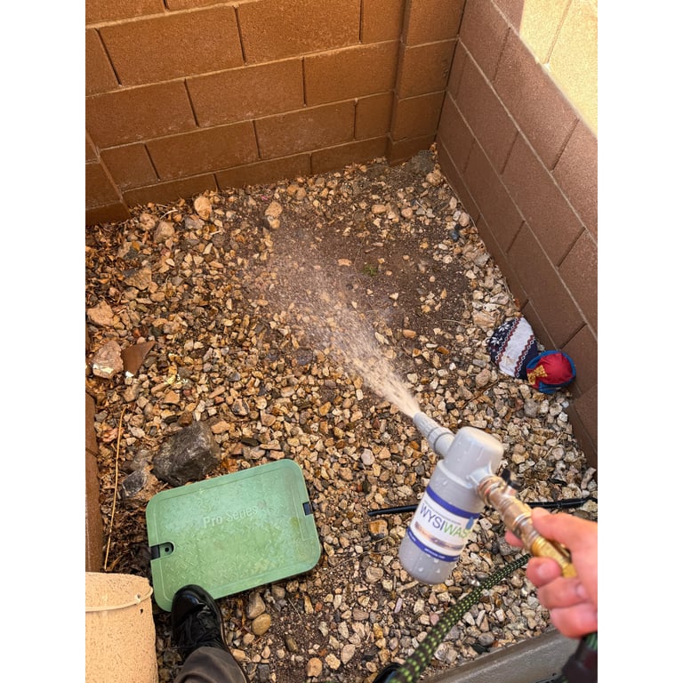 Kandy's yard after scooping