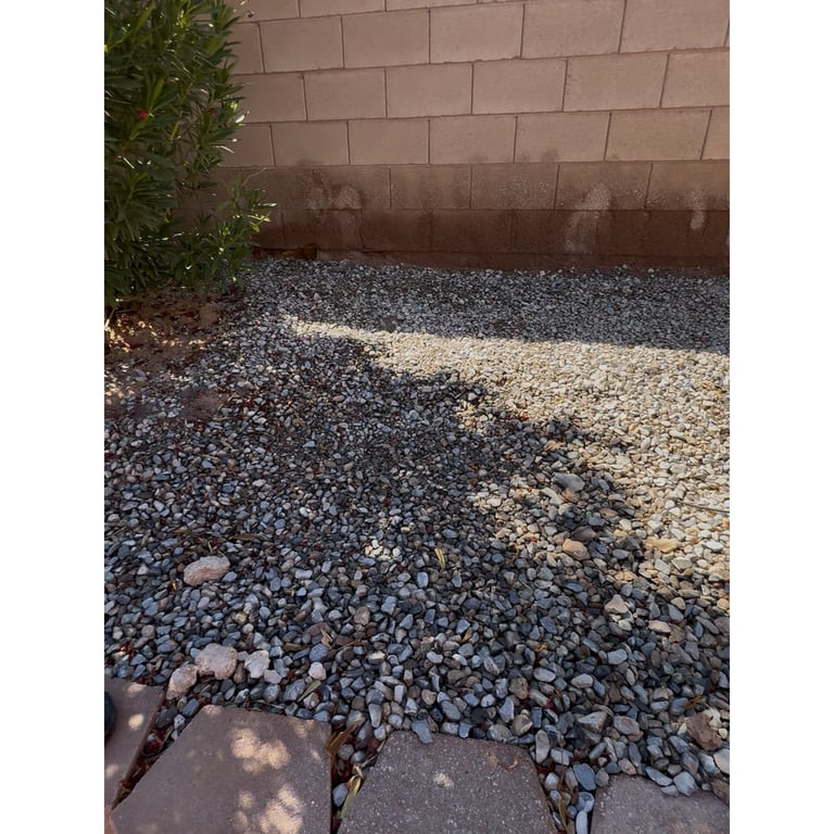 Lucky's yard after scooping