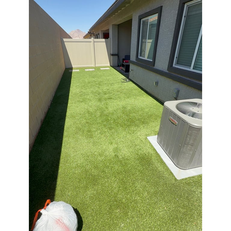 Mc's yard after scooping