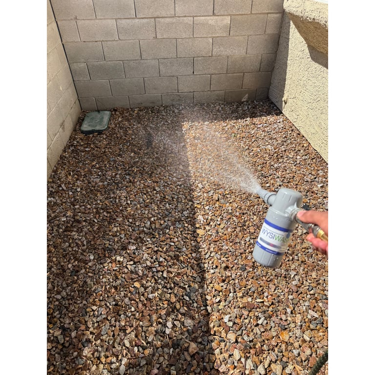 Titecia's yard after scooping