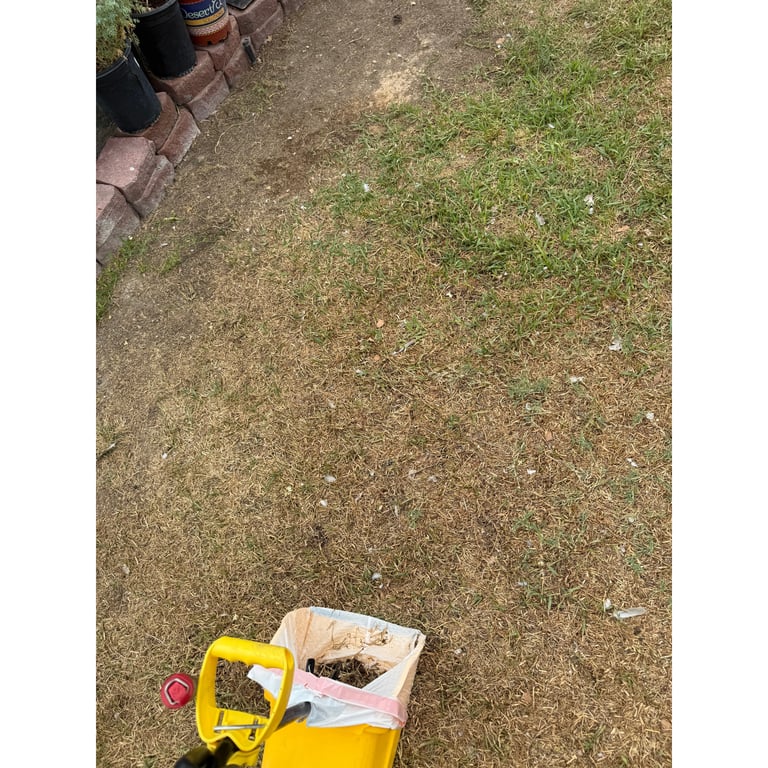 Yackie's yard after scooping
