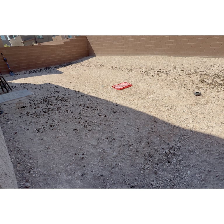 Anthony R.'s yard before scooping