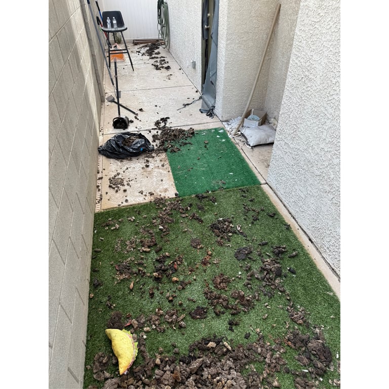 Brianna H.'s yard before scooping
