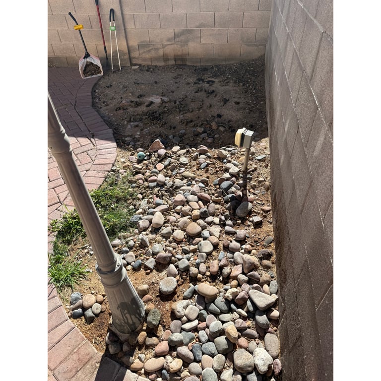 Ivy's yard before scooping