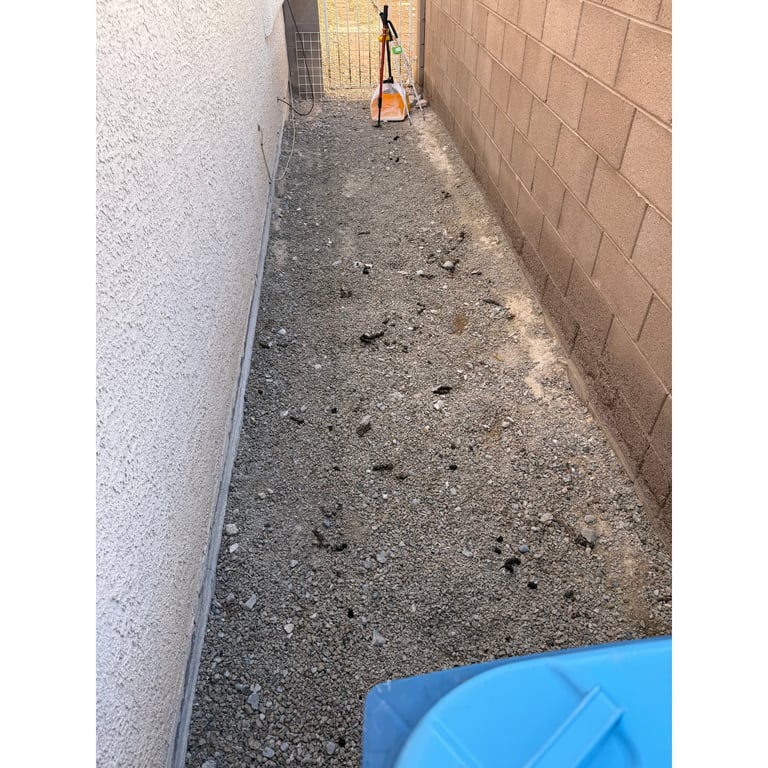 Jasmine's yard before scooping