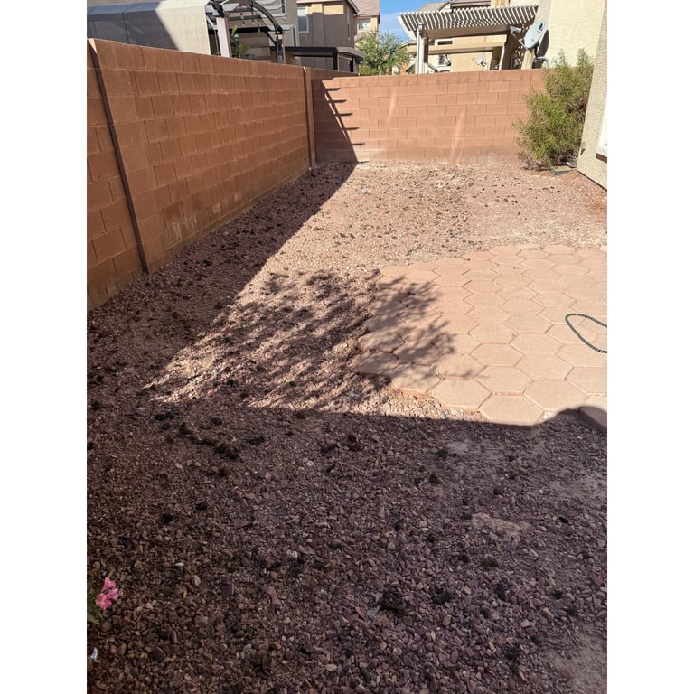 Jhoi P.'s yard before scooping
