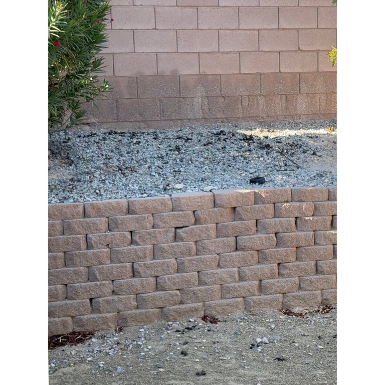 Lucky's yard before scooping