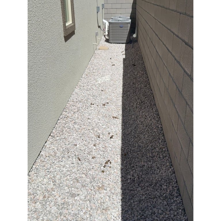 Marissa's yard before scooping