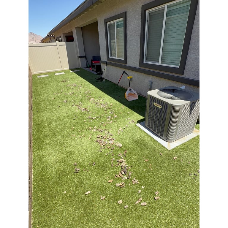 Mc's yard before scooping
