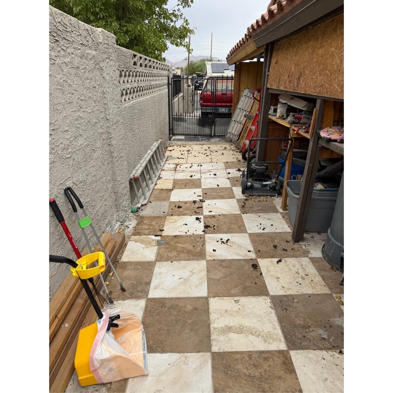 Yackie's yard before scooping