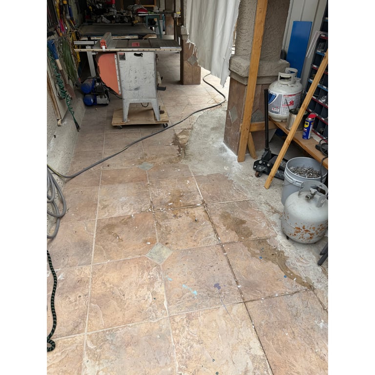 Yackie's yard before scooping